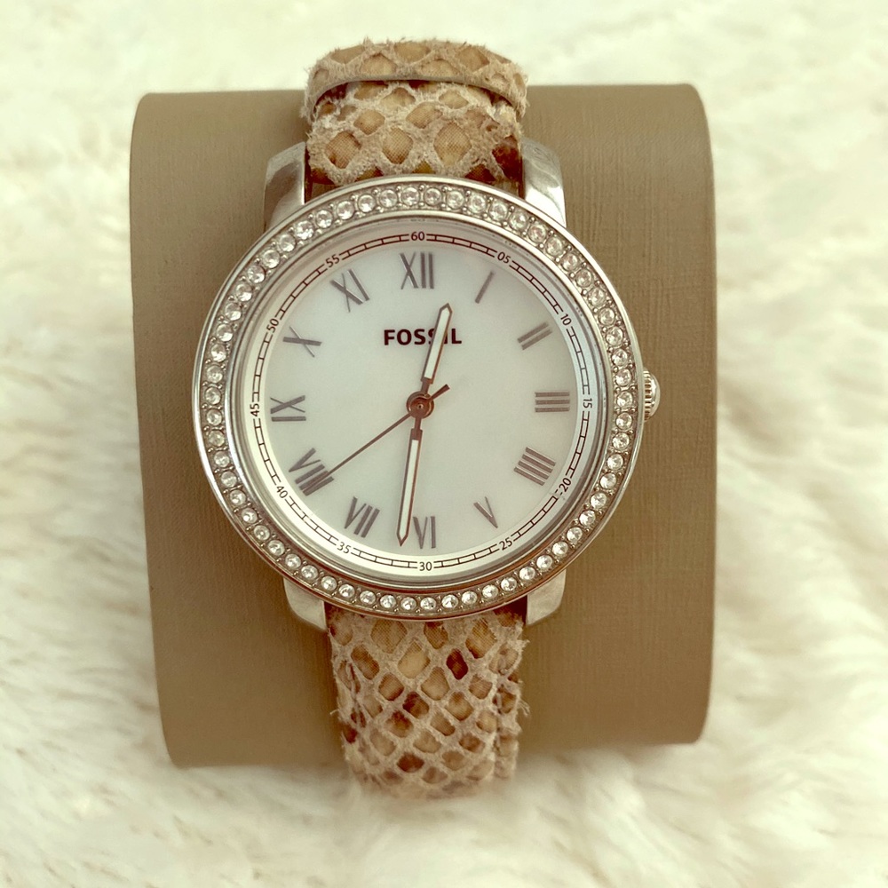 Fossil Watch